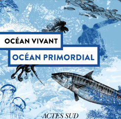 Podcast Océan vivant