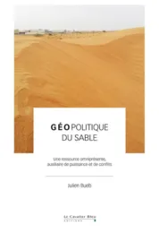 Géopolitique du sable / Julien Bueb