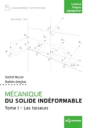 Mechanics of the undeformable solid . Tome 1 . Torsors / Rachid Mesrar, Brahim Amghar