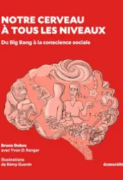 Notre cerveau à tous les niveaux : du Big Bang à la conscience sociale / Bruno Dubuc