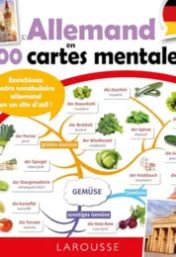 L'allemand en 100 cartes mentales 