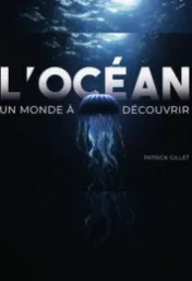 L'océan, un monde à découvrir*