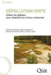 Dépollution verte : utiliser les végétaux pour réhabiliter les milieux contaminés / Domenico Morabito