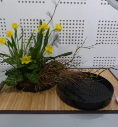 Ikebana
