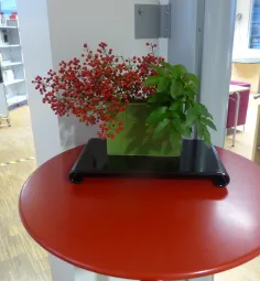 Ikebana