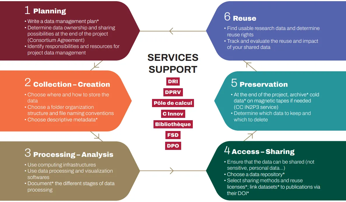 Data lifecycle and support services Data lifecycle diagram and support services